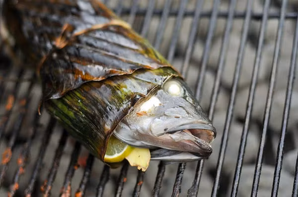 Khi xếp cá lên vỉ nướng, cần đặt theo hướng chéo với các rãnh của vỉ. Điều này giúp bạn lật trở cá dễ dàng hơn trong khi nướng.