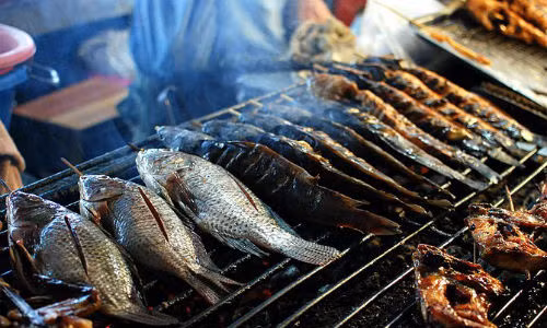 Sau khi đã sơ chế và làm sạch cá, bạn nên dùng nước lạnh để rửa lại cá rồi lau thật khô trước khi nướng. Nếu cá ướt, đặt lên vỉ nướng, thịt cá sẽ bị khô.