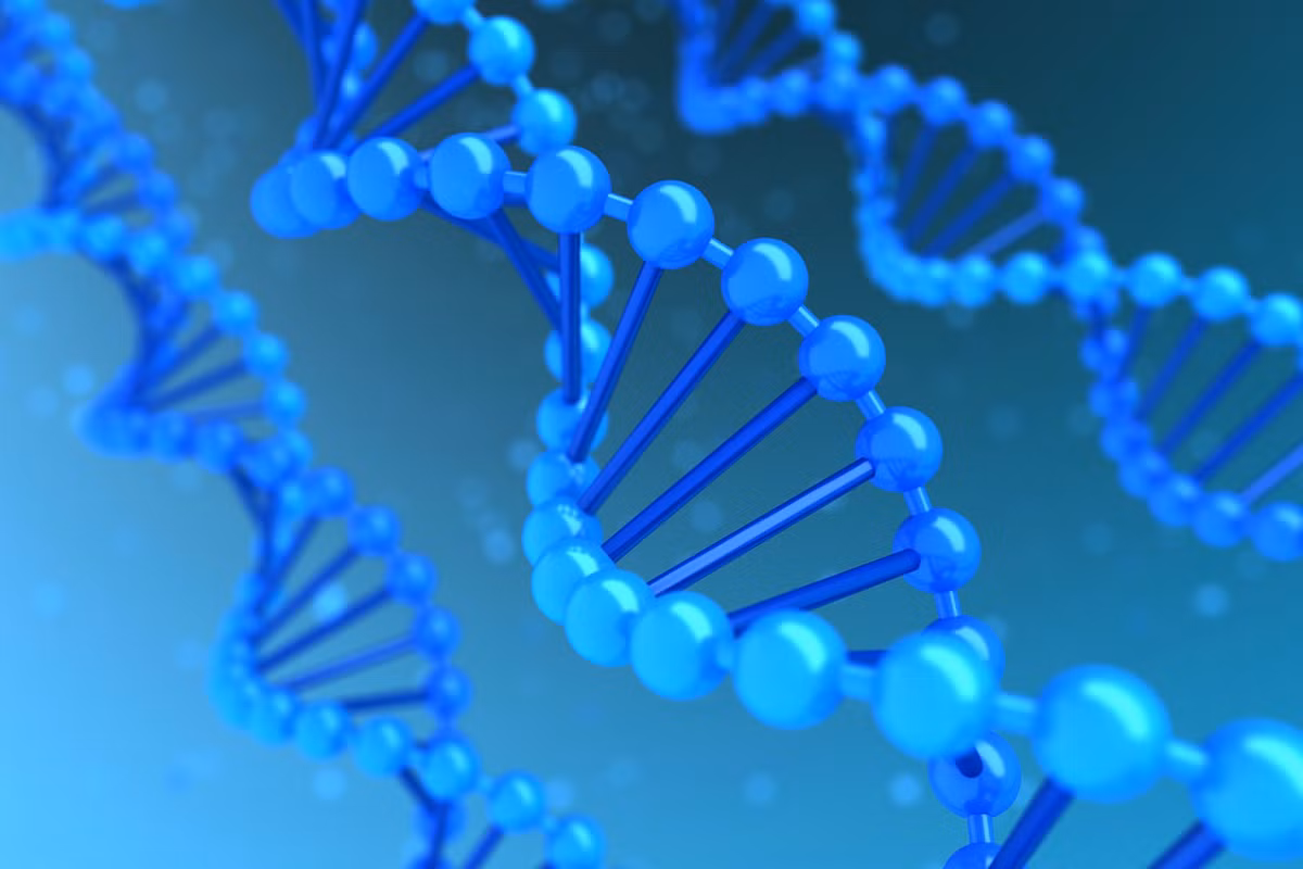 Tiền sử gia đình có ung thư buồng trứng. Gen BRCA1 của mẹ bị lỗi sẽ tăng nguy cơ 40-60% phát triển bệnh ung thư buồng trứng ở cuối tuổi 30 và ung thư vú ở tuổi 20.