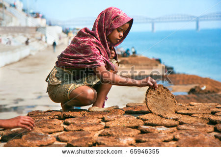 Một gói bánh phân bò có khoảng 2-8 miếng. Giá cả dao động từ 100-400 rupees (34.000 - 136.000/ gói). Bánh phân bò cũng được dùng làm phân hữu cơ chăm bón cây cảnh.