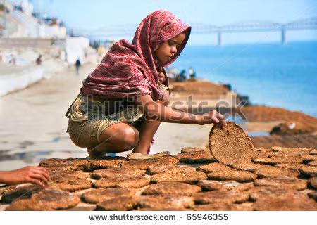 Một gói bánh phân bò có khoảng 2-8 miếng. Giá cả dao động từ 100-400 rupees (34.000 - 136.000/ gói). Bánh phân bò cũng được dùng làm phân hữu cơ chăm bón cây cảnh.