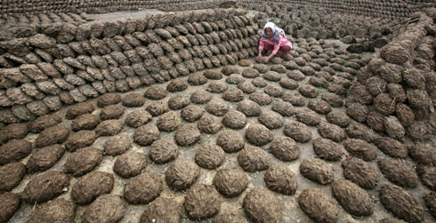 Lái buôn từ khắp nơi đổ đến các ngôi làng đặt hàng bánh phân bò. Sau khi chế biến, nó được gói ghém cẩn thận với một lớp giấy bọc đẹp đẽ, chẳng khác gì một chiếc bánh cả.