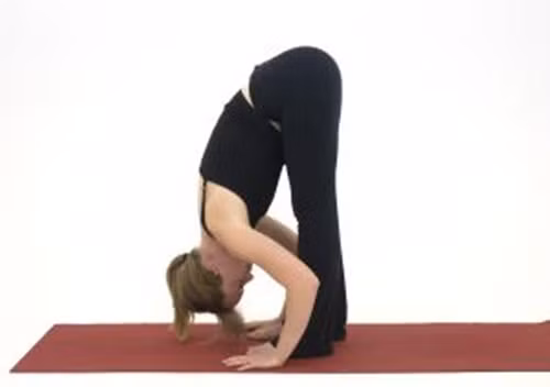 Tư thế gập người về trước. Tư thế này sẽ kéo giãn gân kheo của bạn hết mức và khả năng gây chấn thương cao. Chấn thương nghiêm trọng có thể kéo dài vài tháng hoặc thậm chí vài năm để chữa trị.