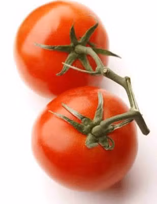 3. Da - cà chua. Cà chua là “kem chống nắng” tốt nhất bởi vì nó rất giàu chất chống oxy hóa tự nhiên mạnh mẽ - lycopene. Đơn giản chỉ cần uống 16 mg lycopene mỗi ngày, có thể làm giảm 40% nguy cơ của các yếu tố cháy nắng. Nghiên cứu chỉ ra rằng, chất lycopene trong cà chua đỏ có thể kiểm soát hiệu quả lão hóa.