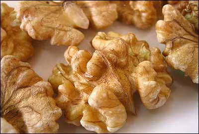 5. Môi - quả óc chó. Ăn một vài quả óc chó hàng ngày, đôi môi bạn sẽ không khô ẩm mỗi ngày. Điều này là bởi vì, quả óc chó rất giàu axit béo omega-3 giúp điều tiết sự trao đổi chất. Óc chó tươi có chứa độ ẩm nhiều hơn, có giá trị dinh dưỡng và hàm lượng vitamin cao.