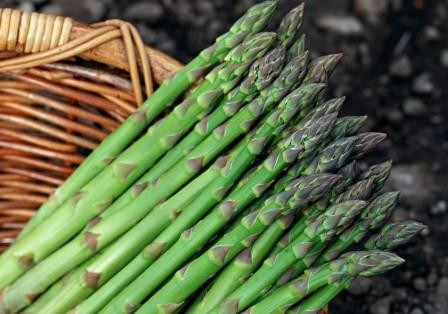 12.Tim-măng tây. Măng tây rất giàu axit folic có thể làm giảm homocysteine, đó là loại axit amin có thể gây viêm và làm tăng nguy cơ bệnh tim. Ăn măng tây còn giúp tiêu thụ các chất dinh dưỡng khác có lợi cho tim, chẳng hạn như kali. 