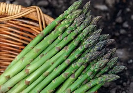 12.Tim-măng tây. Măng tây rất giàu axit folic có thể làm giảm homocysteine, đó là loại axit amin có thể gây viêm và làm tăng nguy cơ bệnh tim. Ăn măng tây còn giúp tiêu thụ các chất dinh dưỡng khác có lợi cho tim, chẳng hạn như kali. 