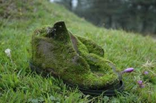 Là môi trường cho vi khuẩn phát triển. Những đôi boot sẽ tạo điều kiện cho các vi khuẩn gây bệnh về da phát triển mạnh. Nó sẽ khiến cho bạn dễ mắc các bệnh về da khi bạn sử dụng quá lâu.