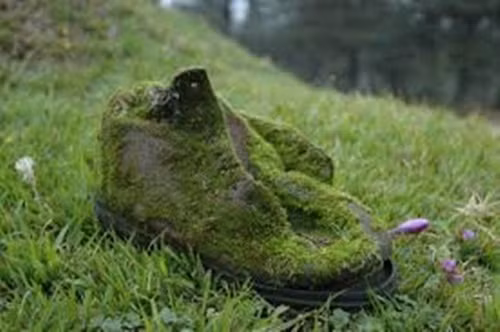 Là môi trường cho vi khuẩn phát triển. Những đôi boot sẽ tạo điều kiện cho các vi khuẩn gây bệnh về da phát triển mạnh. Nó sẽ khiến cho bạn dễ mắc các bệnh về da khi bạn sử dụng quá lâu.