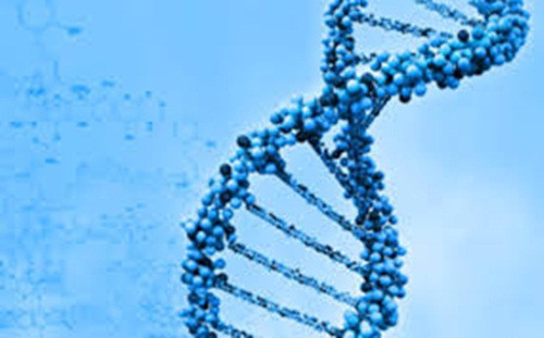 Từ bản đồ của hơn 100 loại tế bào nhân sơ và nhân chuẩn, sẽ giúp các nhà nghiên cứu và y khoa hiểu rõ hơn mối liên hệ phức tạp giữa ADN con người với các loại bệnh tật.