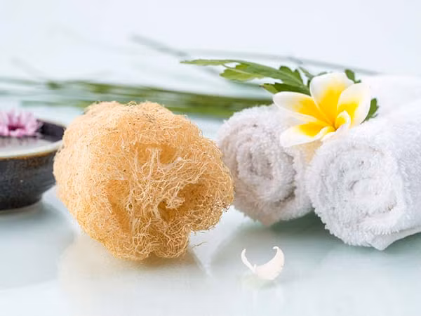 Để xơ mướp trong phòng tắm. Vi khuẩn rất thích những thứ ẩm và mịn như xơ mướp. Nếu như để nó trong phòng tắm thì bạn hãy ngâm nước nóng 15-20 phút trước khi sử dụng.