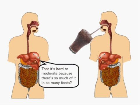 Thực phẩm chế biến sẵn chứa đậu nành. Đừng bị lừa rằng đậu nành nào cũng tốt cho sức khỏe. Bột đậu nành thường được sử dụng để thay thế các khẩu phần về thịt như bánh mỳ kẹp, hot dog, hoặc thịt gà. Đậu nành là một trong những loại cây trồng biến đổi gen chủ yếu. Trên thực tế, người ta nói rằng trên 94% đậu nành bị biến đổi gen.