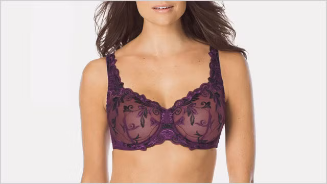 Full cup bra. Là loại áo ngực ôm toàn bộ vú, nó được thiết kế hai quai đeo nâng đỡ tốt cho bầu ngực giúp tôn dáng đáng kể cho người mặc. Nhờ đó những kiểu trang phục đơn giản, bình thường nhất cũng dễ dàng giúp ngoại hình của bạn đẹp và quyến rũ hơn.