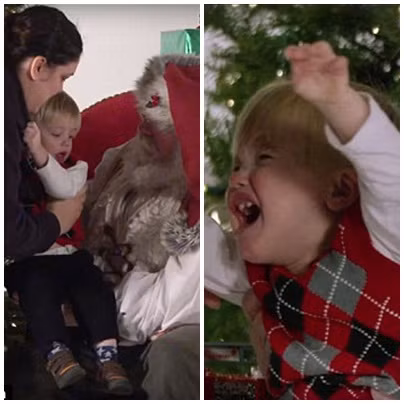 Mặc dù nhiều đứa trẻ rất vui mừng đến ngồi vào lòng ông già Noel nhưng một số trong chúng lại ngay lập tức chuyển sang trạng thái kích động khi được cha mẹ cho vào lòng ông.