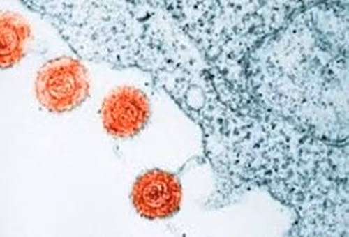 Ung thư – hai từ bệnh tật đáng sợ nhất trên thế giới. Nó là kẻ giết người tàn nhẫn và khó để ngăn chặn một khi nó lan rộng. Mặc dù công nghệ y học cũng đã tiến bộ nhưng nó vẫn là mối đe dọa lớn, một căn bệnh không có thuốc chữa.