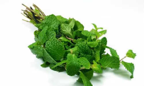 Thảo quả. Loại gia vị cay có vị hơi ngọt này sẽ giúp cơ thể bạn tỏa mùi hương một cách tự nhiên. Thảo quả cũng ngấm vào cơ thể nhanh hơn các loại thực phẩm khác. Bên cạnh đó, thảo quả cũng là loại gia vị tốt cho sức khỏe, nâng cao hệ miễn dịch.