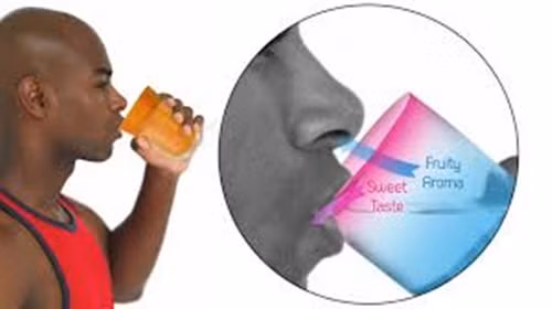 Chiếc cốc đặc biệt có tên là “right cup” là thiết bị giảm cân mới được thiết kế nhằm mục đích đánh lừa cảm giác cho những người muốn giảm cân. Cốc có lớp bên trong tỏa ra mùi hương trái cây ngọt hay mùi soda mà không cần đưa một tí calo nào vào cơ thể.