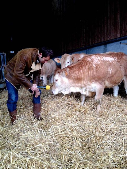 Anh cũng nói chuyện với vật nuôi mỗi ngày, để đảm bảo chúng không căng thẳng và được thoải mái. Sự dễ chịu này sẽ giúp không tạo ra chất glycogen và axit lactic làm cho thịt luôn thơm ngon.