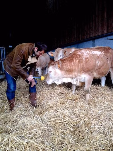 Anh cũng nói chuyện với vật nuôi mỗi ngày, để đảm bảo chúng không căng thẳng và được thoải mái. Sự dễ chịu này sẽ giúp không tạo ra chất glycogen và axit lactic làm cho thịt luôn thơm ngon.