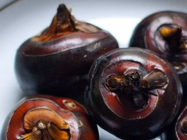 Bai thuoc tu cu nang chua nhiet, giam mo cuc nhanh