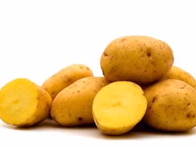 Cach dung khoai tay chua benh cuc hieu nghiem