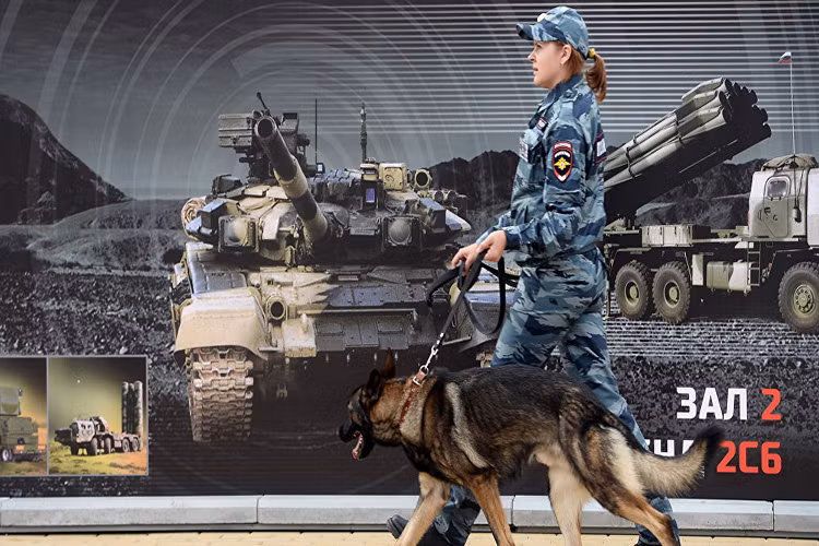 Theo chương trình đào tạo chó nghiệp vụ của Bộ Nội vụ Nga, chó nghiệp vụ được đào tạo không chỉ để tìm kiếm, mà còn để canh giữ tội phạm. Nếu cần thiết, con chó sẽ tấn công cho đến khi người chỉ huy ra lệnh lùi lại hoặc nó bị giết bởi tên tội phạm. Nguồn ảnh: Sputnik.