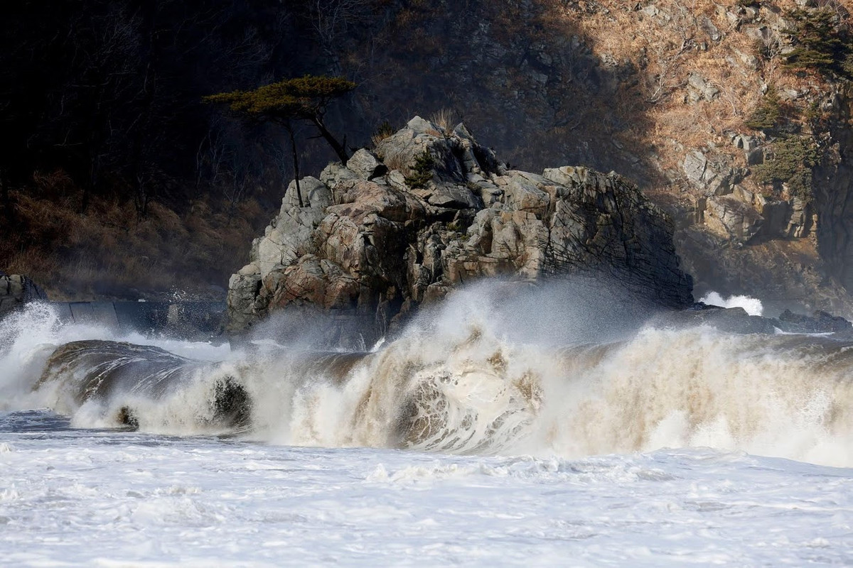 Nhiều người dân cho rằng bức tường là cần thiết nhưng vẫn khó khăn để quen với điều này. "Ai nấy ở đây đều lớn lên cùng biển, đời này qua đời khác", Sotaro Usui, giám đốc một công ty cá ngừ, nói. "Bức tường đã khiến chúng tôi bị chia cách với biển và đó là điều không thể chịu đựng".