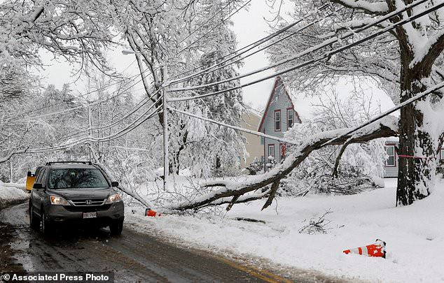 Đường dây điện bị hư hỏng do cây đổ ở Northborough, Maine. Hệ thống năng lượng bị ảnh hưởng nghiêm trọng do bão tuyết. Các đường dây tải điện bị đóng băng hoặc bị đứt gây ra mất điện trên diện rộng. Khoảng 1 triệu người đang sống trong cảnh không có điện. "Tình trạng mất điện giữa mùa đông khiến cuộc sống của người dân gần như ngưng trệ", Matthew Osterberg, một quan chức tại hạt Pike, bang Pennsylvania, cho biết. Ảnh: AP.