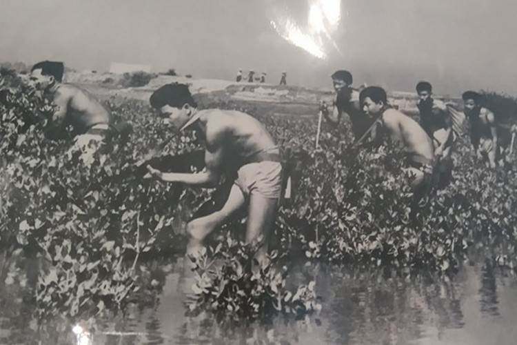 Trên hướng từ Mai Xá lên ngã ba Duy Phiên: Đội 3 và Đội 4 do đồng chí Đoàn phó Lý Thảo phụ trách được tăng cường 2 trung đội bộ binh, phối hợp với các lực lượng vũ trang tỉnh Quảng Trị ngăn chặn giao thông đường thủy của địch, hỗ trợ cho các binh đoàn chủ lực tập kích vây hãm tiêu diệt quân Mỹ ở Đường 9-Khe Sanh. Nguồn ảnh: Báo Hải quân Việt Nam.