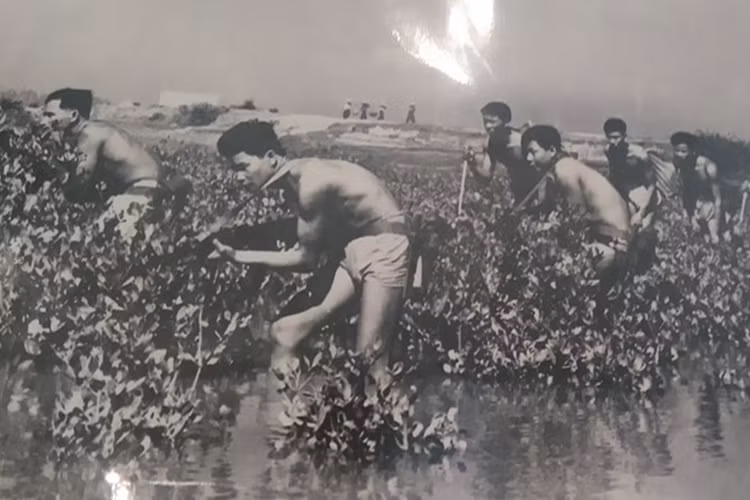 Trên hướng từ Mai Xá lên ngã ba Duy Phiên: Đội 3 và Đội 4 do đồng chí Đoàn phó Lý Thảo phụ trách được tăng cường 2 trung đội bộ binh, phối hợp với các lực lượng vũ trang tỉnh Quảng Trị ngăn chặn giao thông đường thủy của địch, hỗ trợ cho các binh đoàn chủ lực tập kích vây hãm tiêu diệt quân Mỹ ở Đường 9-Khe Sanh. Nguồn ảnh: Báo Hải quân Việt Nam.