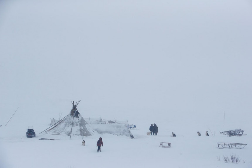 "Vài tháng trước, tôi đã gặp tộc trưởng của bộ tộc Nenets. Ông ấy cho chúng tôi biết tọa độ nơi họ và đàn tuần lộc sẽ ở trong vòng 2 tuần. Chúng tôi liền di chuyển 400 km đến nơi này bằng trực thăng. Nếu người tộc trưởng cho tọa độ lệch một chút, chúng tôi đã có thể không tìm thấy họ vì khu vực này vô cùng rộng lớn", bà Uglovaya nói.