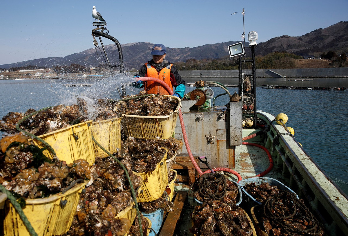 Nhiều cư dân ban đầu hoan nghênh ý tưởng xây tường nhưng sau đó quay sang chỉ trích việc này vì không gian tù túng, được ví như ở tù hoặc trong Tử Cấm Thành. Một số người nói rằng họ không được hỏi ý kiến trong quá trình lên kế hoạch xây dựng. Một số khác nói việc chi tiền xây tường đồng nghĩa rằng các kế hoạch tái thiết khác, như xây nhà ở cho người dân mất nhà, bị bỏ lại phía sau.