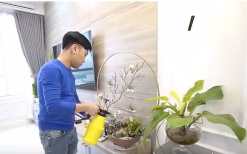 Ngoài những nội thất hiện đại thì nam ca sĩ cũng chịu khó chăm sóc cây xanh. Trong nhà của Don Nguyễn cũng rất nhiều cây xanh được anh bố trí hợp lý tạo không gian xanh, mát mẻ.