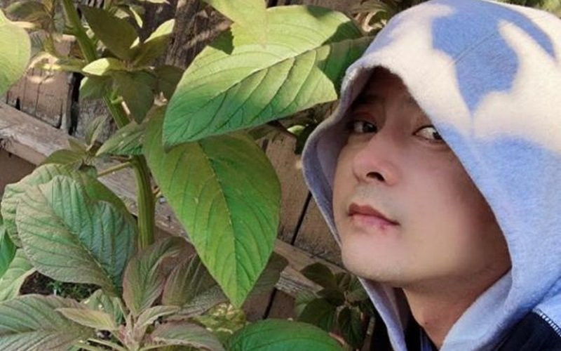 Khu vườn nhỏ đủ loại như: ớt, dưa chuột, mướp đắng, các loại rau thơm, hoa cúc... Tất cả mọi thứ đều đã cho những quả ngọt đầu tiên. Con cái của nam diễn viên vô cùng thích thú với thành quả của bố.