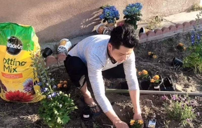 Hoàng Anh hào hứng khoe với fan: "Ai cũng nói Ni mát tay, trồng gì nó lên nấy mà bự nữa. Nghe nói bên này có loại cây gì... đó trồng bán mau có tiền nhiều lắm. Và hiện đang suy nghĩ...".