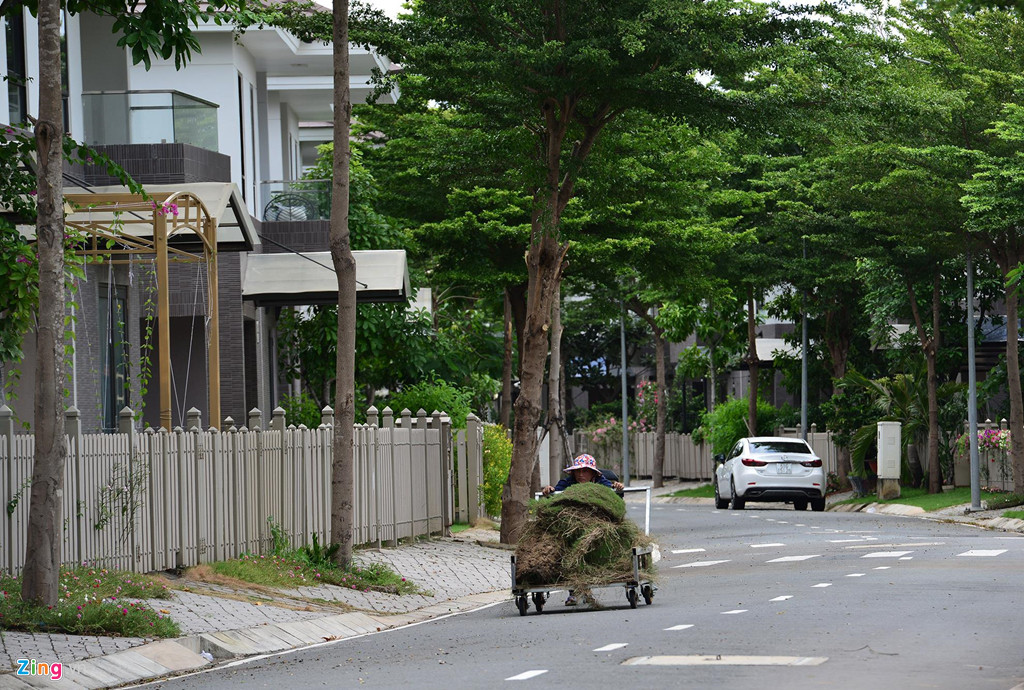 Nhìn chung khu Camellia Garden vẫn khá vắng người sinh sống sau một thời gian hoàn thành. Theo quảng cáo của chủ đầu tư, quy mô dân số của dự án khu biệt thự là khoảng 1.300 cư dân.