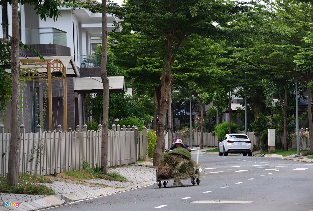 Nhìn chung khu Camellia Garden vẫn khá vắng người sinh sống sau một thời gian hoàn thành. Theo quảng cáo của chủ đầu tư, quy mô dân số của dự án khu biệt thự là khoảng 1.300 cư dân.