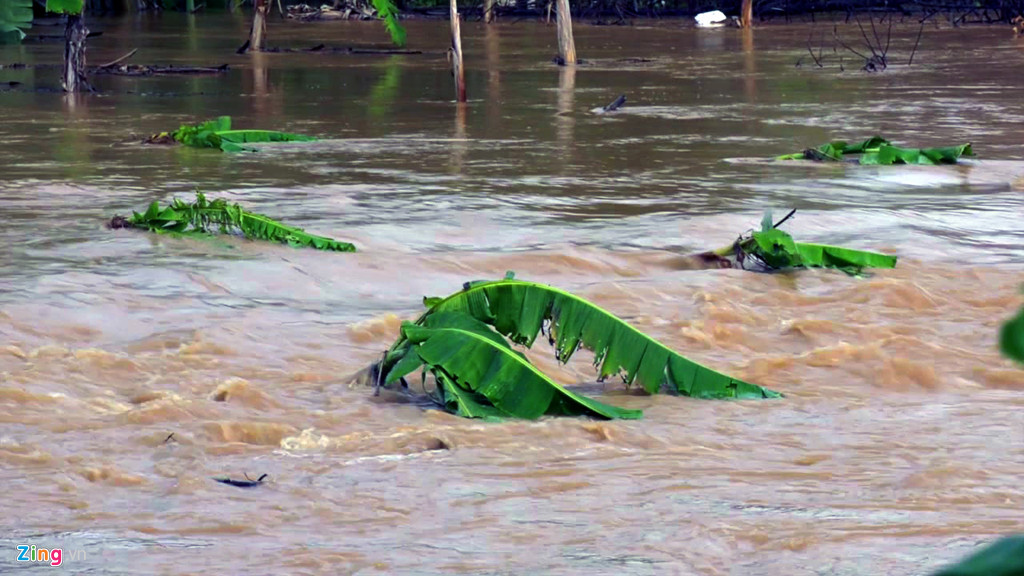 Trận lũ lớn nhất trong vòng 10 năm qua đã nhấn chìm nhiều tài sản, hoa màu của người dân địa phương. Việc di chuyển giữa các làng xã cũng bị gián đoạn.