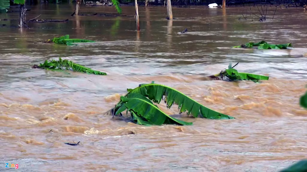 Trận lũ lớn nhất trong vòng 10 năm qua đã nhấn chìm nhiều tài sản, hoa màu của người dân địa phương. Việc di chuyển giữa các làng xã cũng bị gián đoạn.