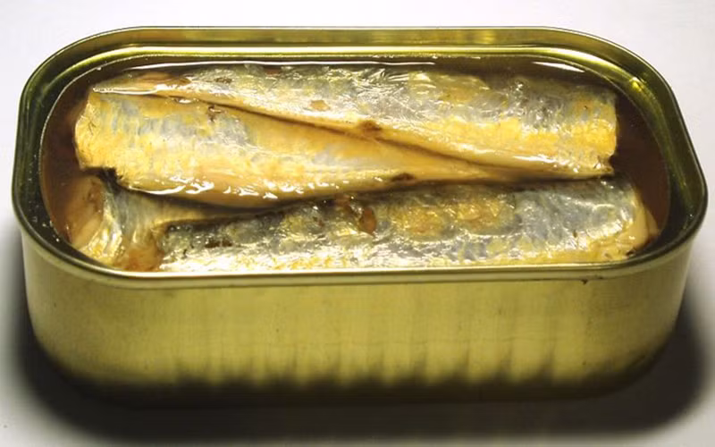 Cá mòi: Cá mòi rất giàu canxi vì xương mềm, ăn được. Một hộp (92gram) cá mòi cung cấp 35% lượng canxi RDI cho cơ thể của bạn.