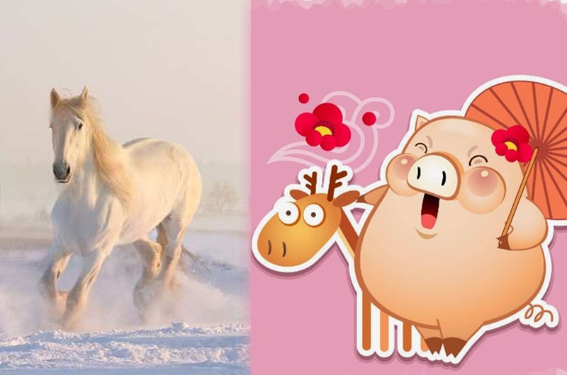 3 cap con giap khac khau nhung cang ben nhau tai loc cang bung no