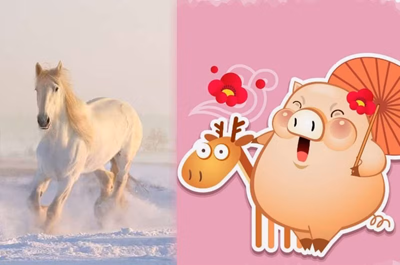 3 cap con giap khac khau nhung cang ben nhau tai loc cang bung no