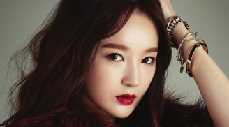 Trong tử vi học thì người phụ nữ có tướng người trán cao rộng là người thông minh xuất chúng, học rộng tài cao và rất may mắn trong cuộc sống tài lộc lúc nào cũng viên mãn.