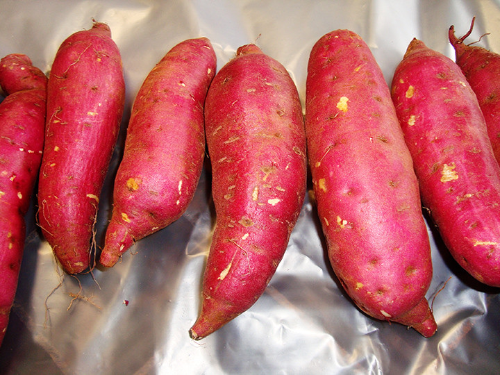 Dau dau ban cach xuat khau khoai lang, dua... sang Trung Quoc-Hinh-2