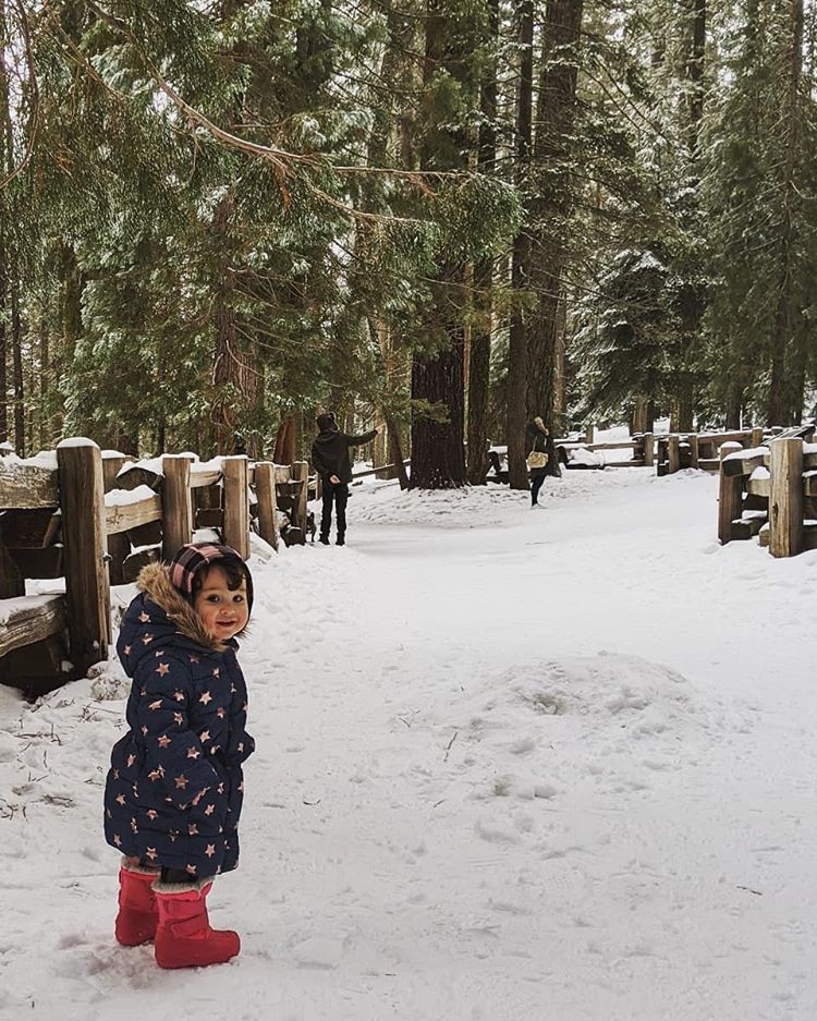 Nếu có ý định thưởng ngoạn cảnh đẹp mùa đông ở khu rừng, bạn cần giữ ấm, an toàn cho mình với ủng chống nước, găng tay, mũ, kính râm, kem chống nắng, nước và đồ ăn nhẹ. Ảnh: Perrasrescott, hoopsiedani, rodneygee_photography.