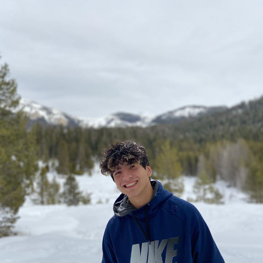 Lớp tuyết dày phủ kín rừng cây là background sống ảo hoàn hảo. Bức ảnh check-in với bộ trang phục đông ấm áp, tuyết rơi lãng mạn xuất hiện nhiều trên các trang mạng xã hội.