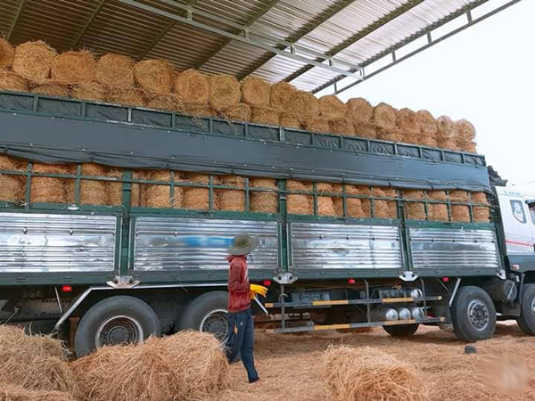 Rom kho len con sot dat hang, gia cao ngat van khong co ma mua-Hinh-3