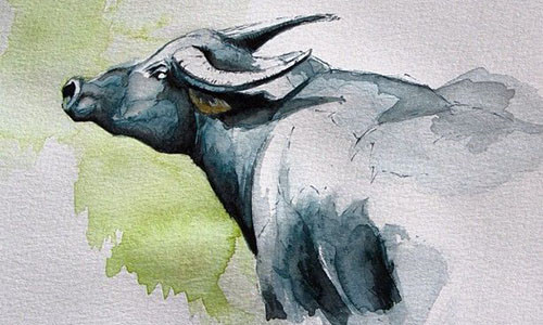 3 con giap phat tuong moi phat tai, tien thi nhau ua ve nha-Hinh-2