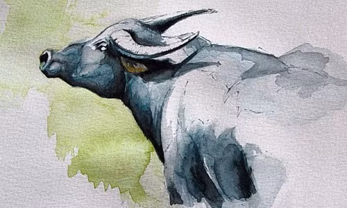 3 con giap phat tuong moi phat tai, tien thi nhau ua ve nha-Hinh-2