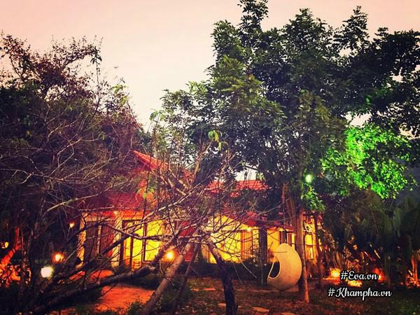 Nha vuon tho mong 3000m² nhu resort cua nu bien tap vien VTV xinh dep-Hinh-3
